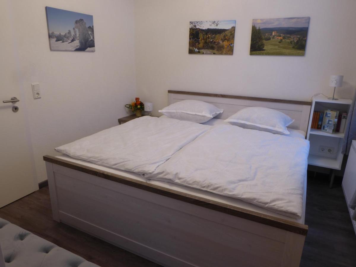 Haus Am Hang Altenau  Esterno foto